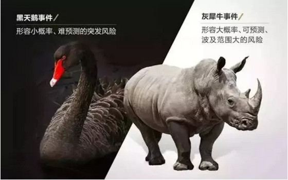 当“黑天鹅”与“灰犀牛”同时出现，2019陶瓷行业路在何方？