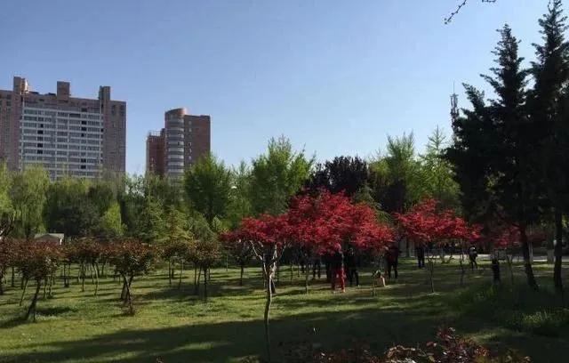 13家陶企完成改造！河北15项措施推进超低排放改造