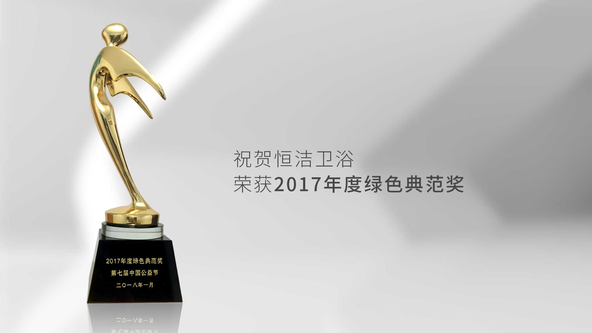 第七届中国公益节举行，恒洁再获“年度绿色典范奖”