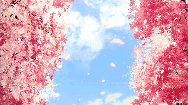 我想去席玛卫浴看“樱花”