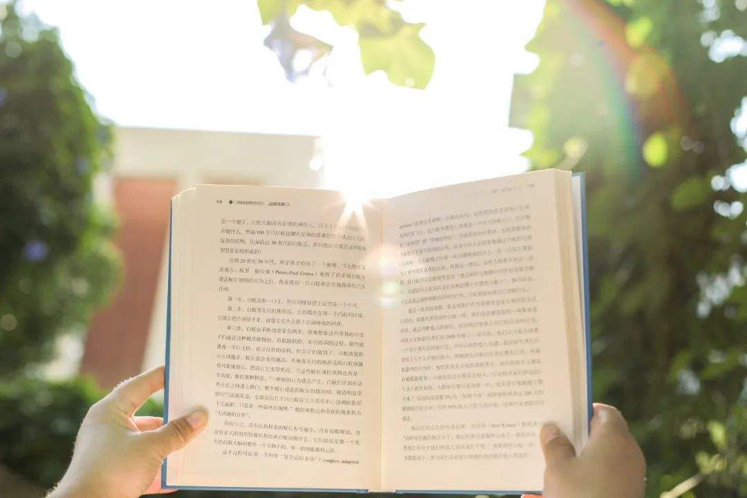 FAENZA法恩莎助力黄冈博才学校