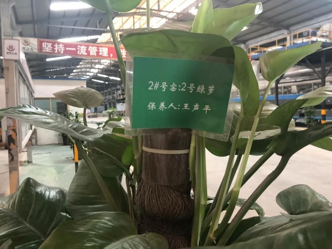 6环保高压下肇庆陶企生存实录.jpg