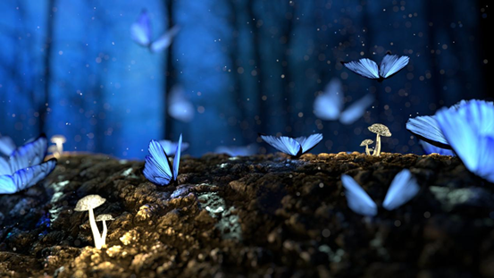 1559611173332651.png image.png