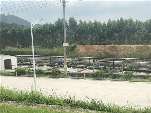 微信图片_2019071316461419.jpg