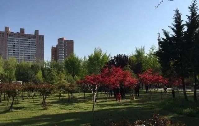 13家陶企完成改造！河北15项措施推进超低排放改造.jpg